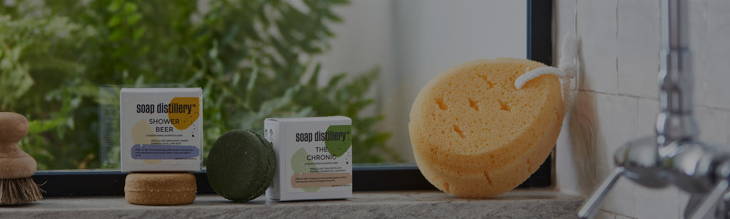 image of shampoo bars and packaging and a sponge in a shower setting with a plant in the background