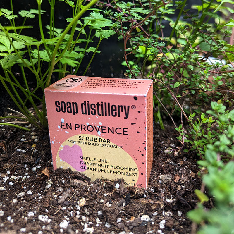 image of the en provence scrub bar in packaging sitting in dirt in a small planter full of herbs