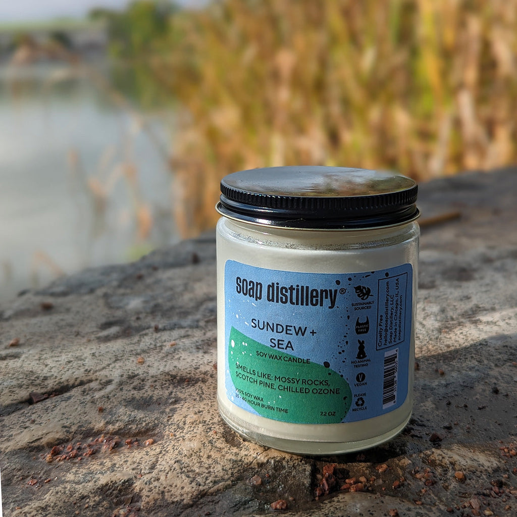sundew and sea scented soy wax candle in a clear glass with a black metal lid outside with a blurred background near a lake with reed grass