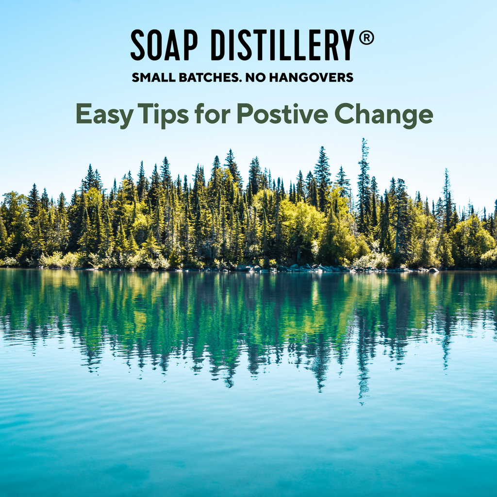 Easy Tips for Positive Change on this Earth Day!