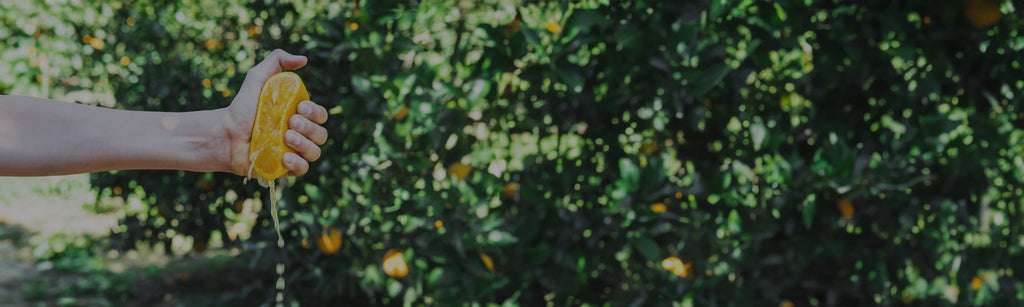 A human hand crushes half of a juicy orange in an orange grove setting