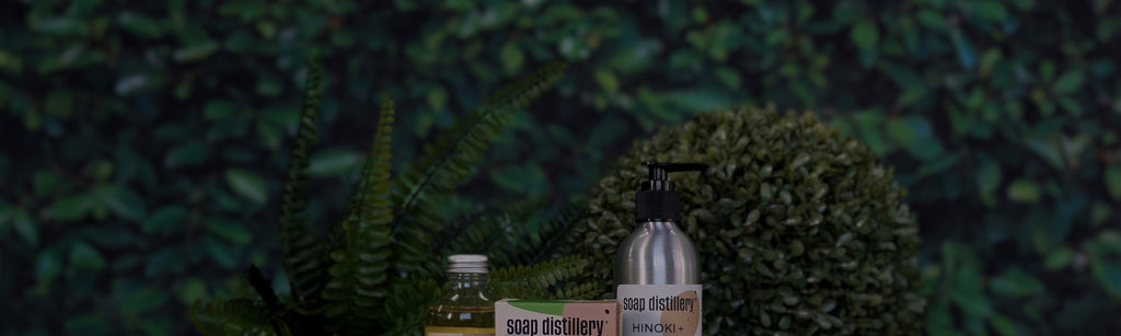 green lush dark plant background with the words: Inspired by misty mountain hikes on cool days, notes of hinoki wood, cypress smoke, fern, moss, vetiver, rosemary, and pine transport you to nature's best alchemy" overlaid