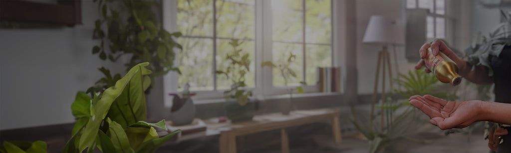 a woman disbursing a body oil onto her hands while standing in a room with light filled windows and house plants