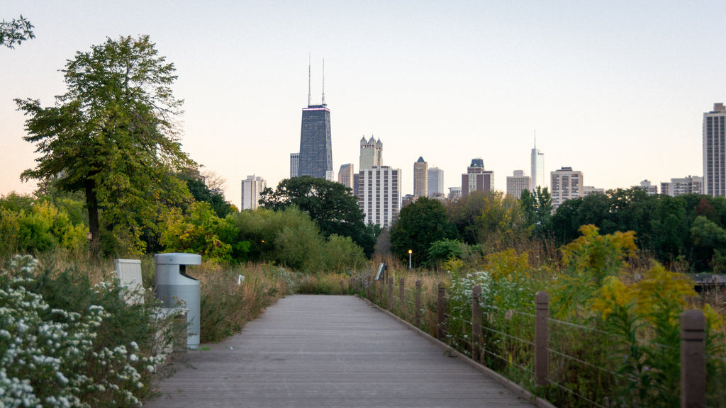 image of Chicago-skyline-from-the-lincoln-park-nature-boardwalk