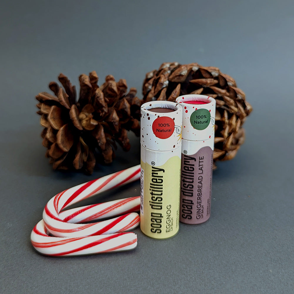 eggnog and gingerbread latte lip balms in paperboard packaging against a grey background wth a pine cone and candy canes
