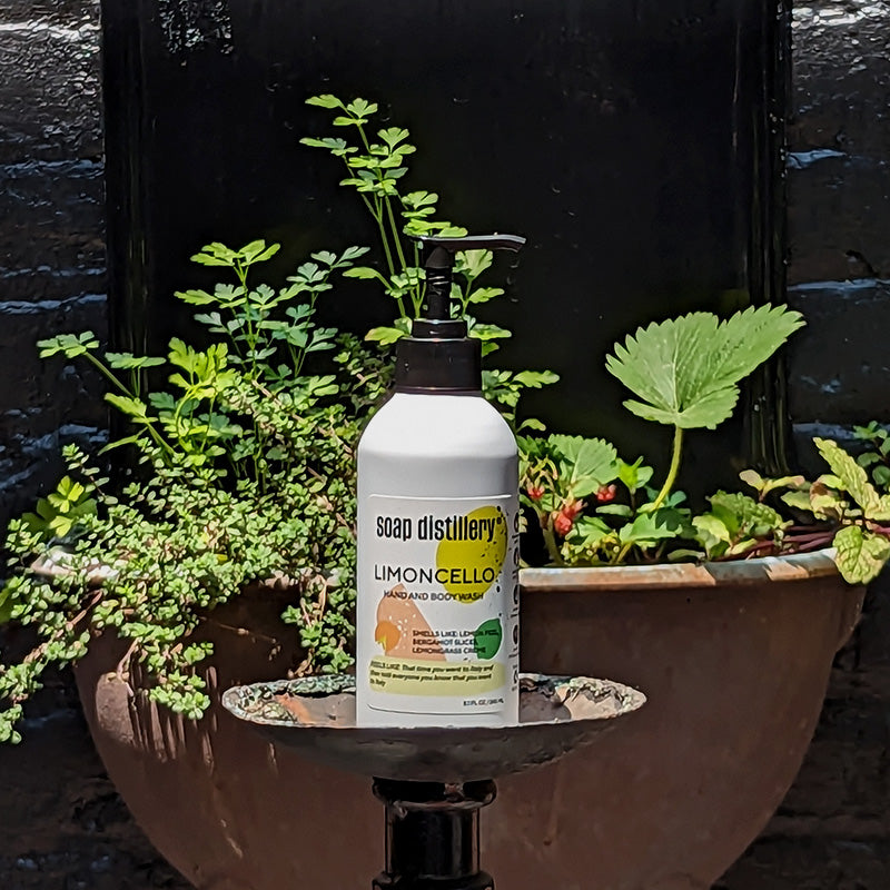 image of our limoncello body wash in a white bottle with a colorful label, outside in front of a planter full of herbs