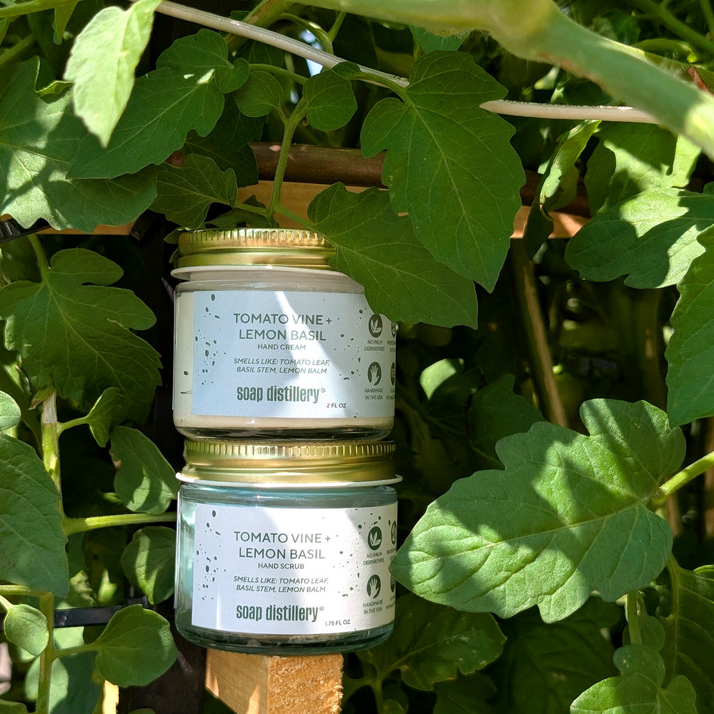 Two jars of Tomato Vine & Lemon Basil hand cream and scrub stacked on a wooden stick with green leaves in the background.