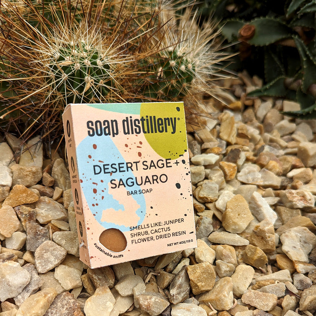 desert sage + saguaro bar soap in colorful paperboard packaging on top of small river rocks with a spiny cactus nearby